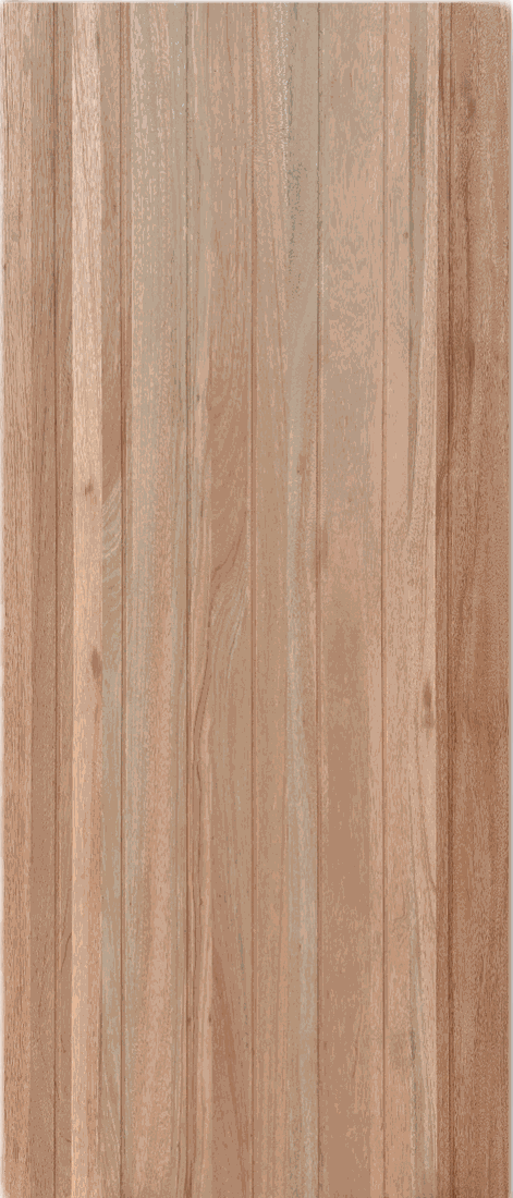 Meranti XLR500 Door